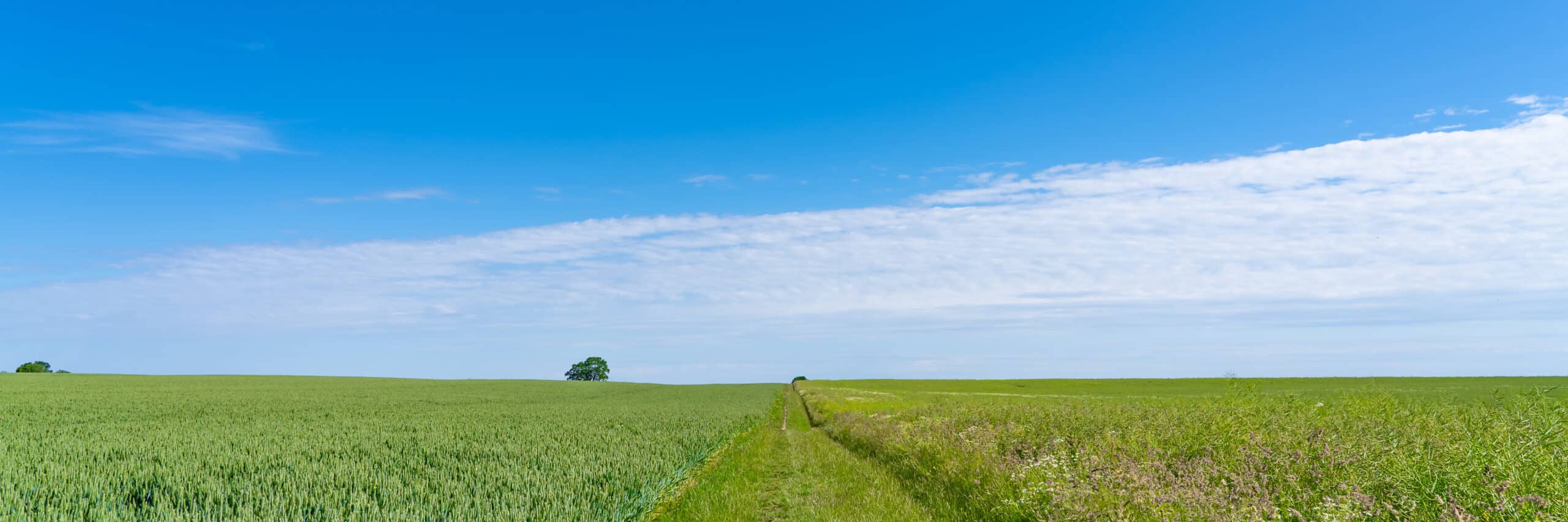 Feld, Ressourcen, Nachhaltig