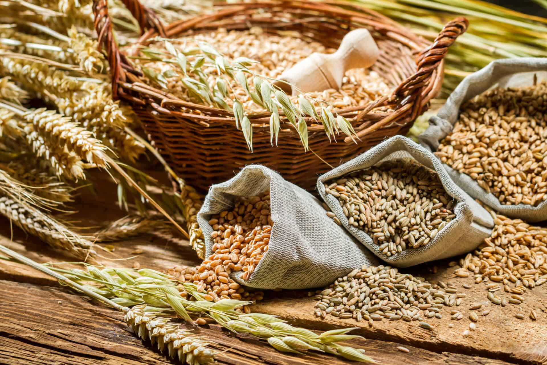 Getreide für die Cerealien und weitere Verarbeitung der Frühstücksprodukte